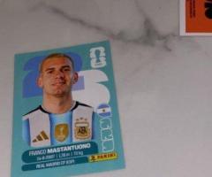 Figu mundial
